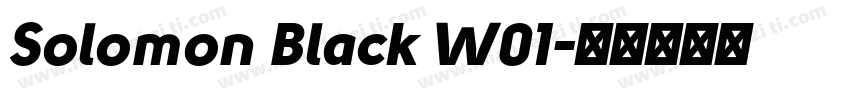 Solomon Black W01字体转换